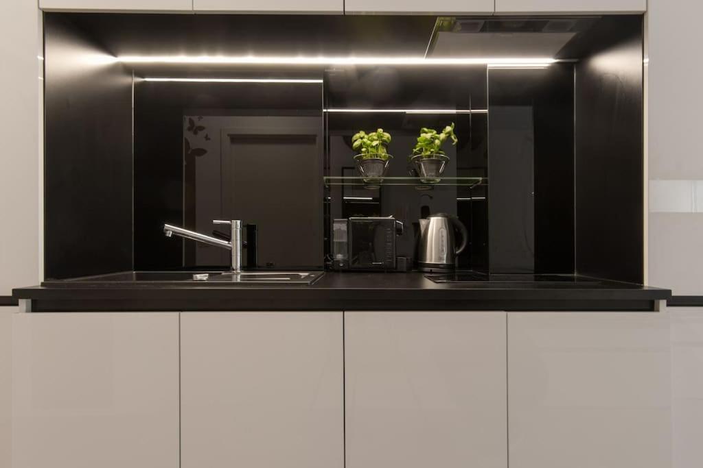 Gorgeous Central Flat With Garage Ljubljana Ngoại thất bức ảnh