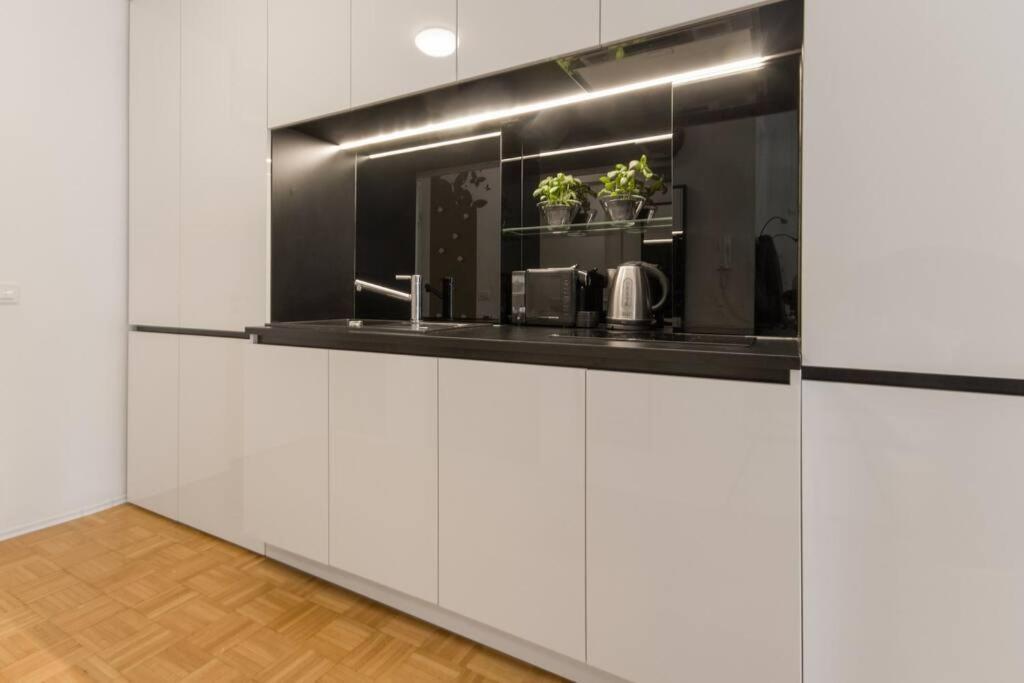 Gorgeous Central Flat With Garage Ljubljana Ngoại thất bức ảnh